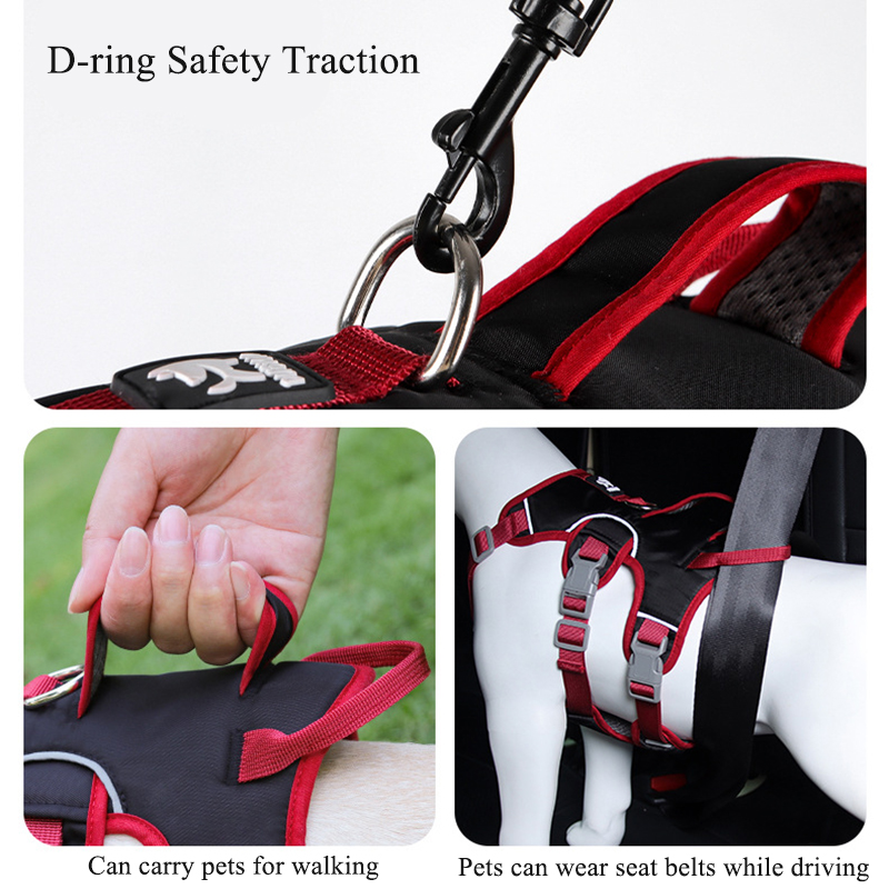 Szelki dla psa zapobiegające c – D Ring Strap recenzja i cena